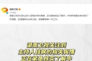 娱乐圈吃瓜文件,揭秘“吃瓜文件”背后的真相